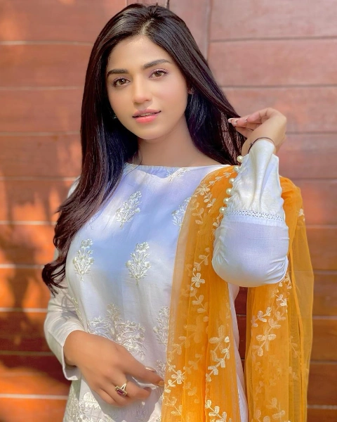 Aamna Malick Saree