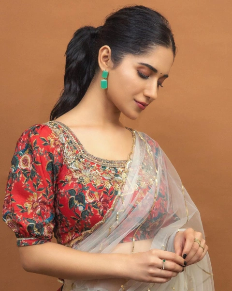 Ruhani Sharma Saree