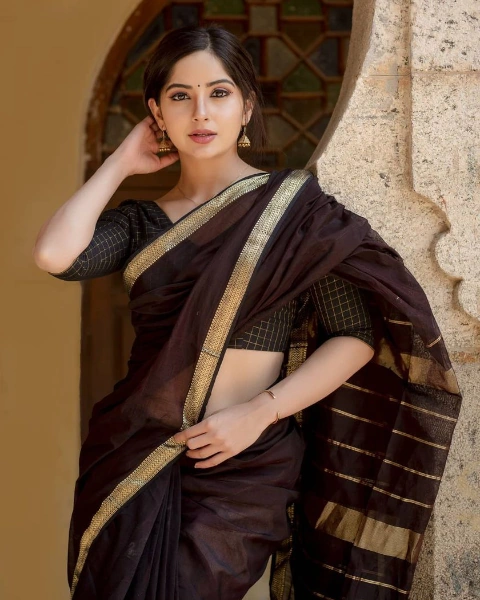 Kashmira Pardeshi Saree Image