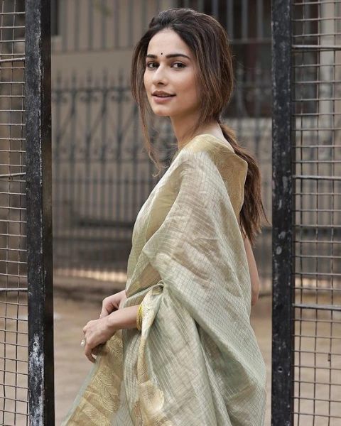 Aneri Vajani Saree Image