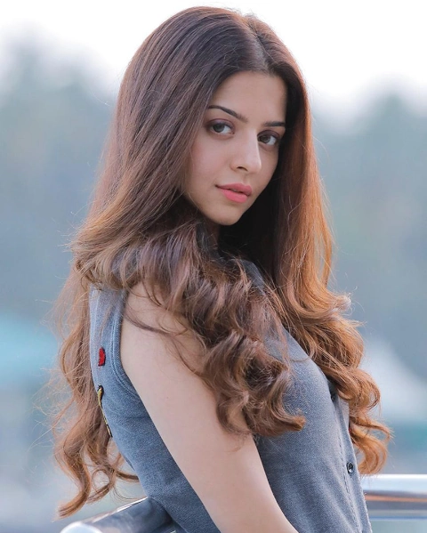 Vedhika Kumar Movie List