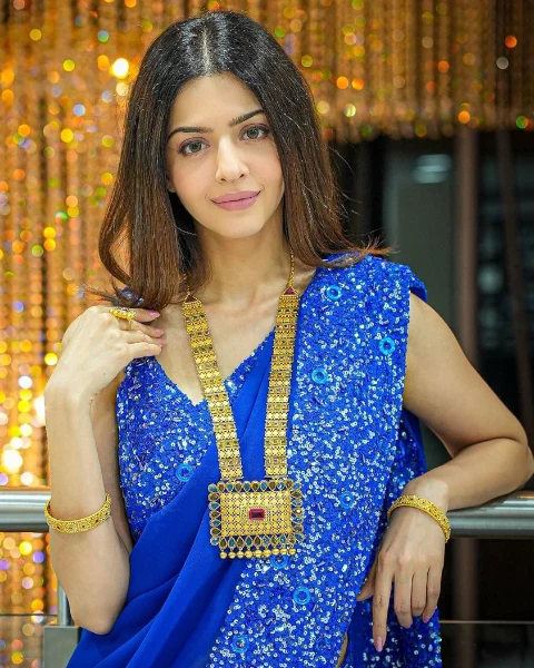 Vedhika Kumar Saree Image