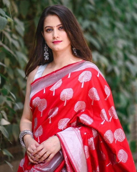 Revati Lele Saree Image