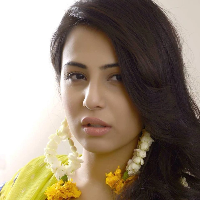 Ushna Shah Television Serial