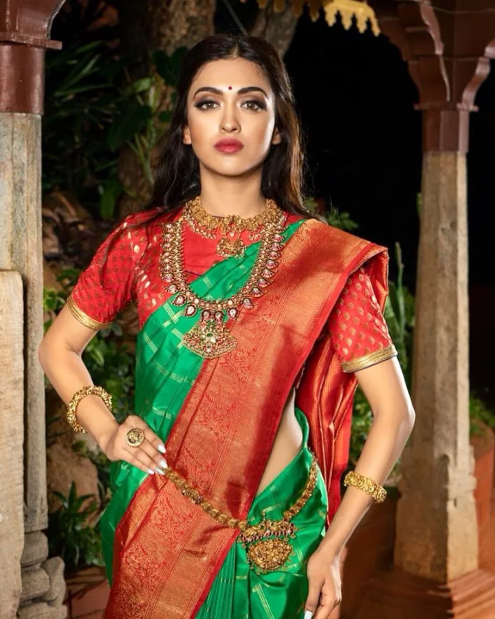 Gayatri Bhardwaj Saree Image