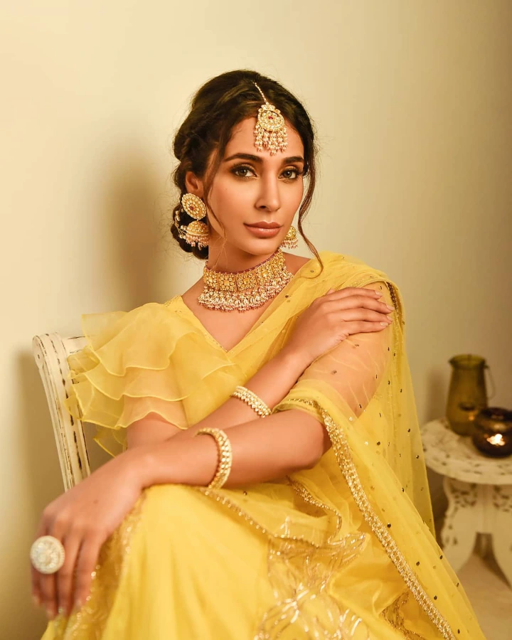 Alankrita Sahai Saree Image