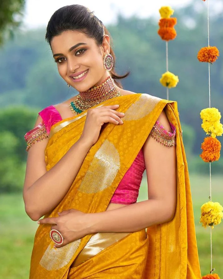 Divya Pillai Saree Image