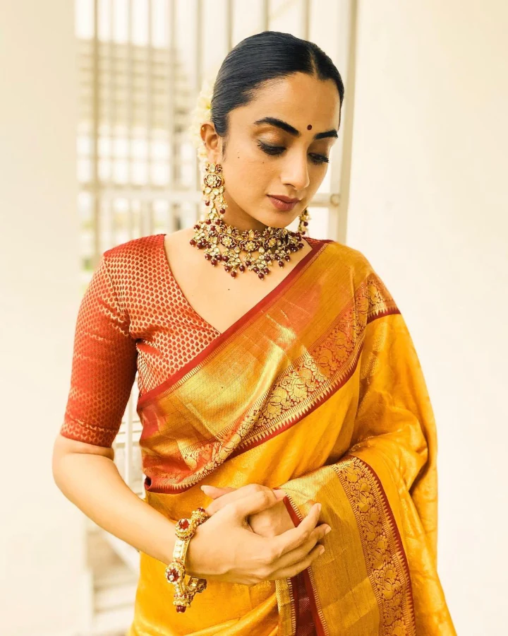 Namitha Pramod Saree Image