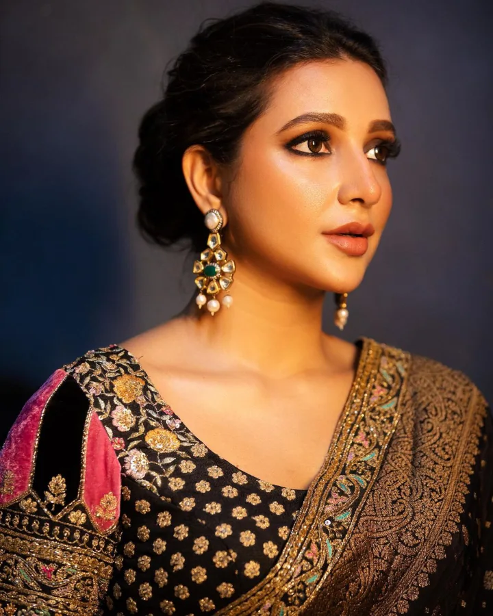 Subhashree Ganguly Television Serial