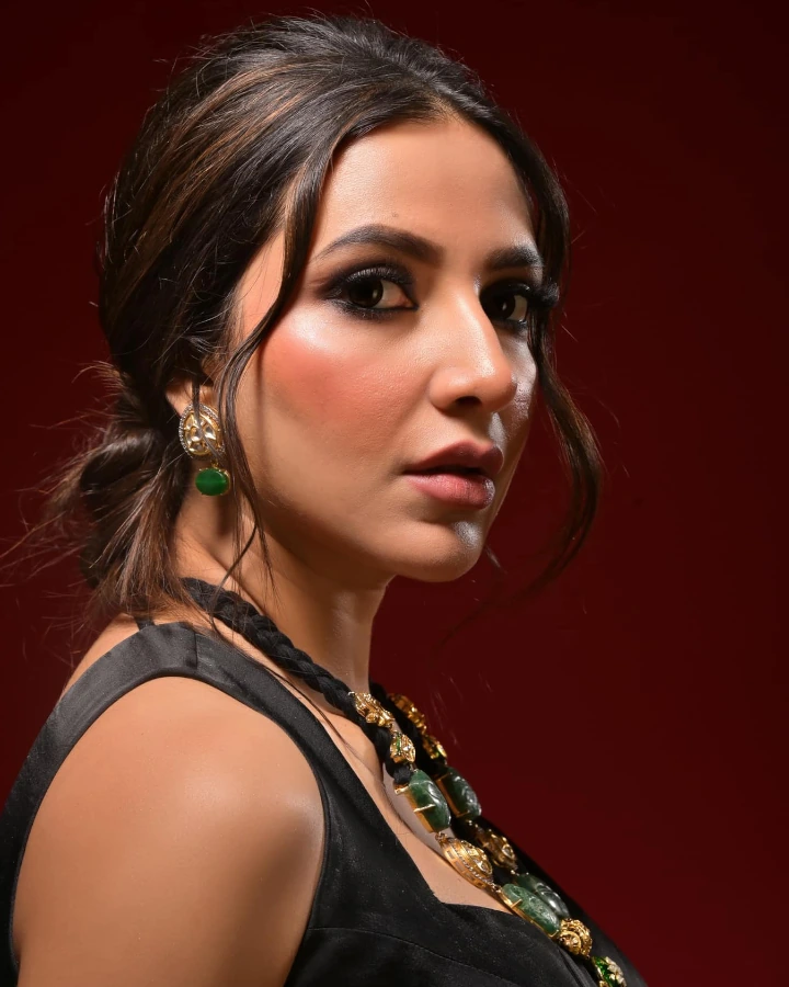 Subhashree Ganguly's hometown is Kolkata, West Bengal, India