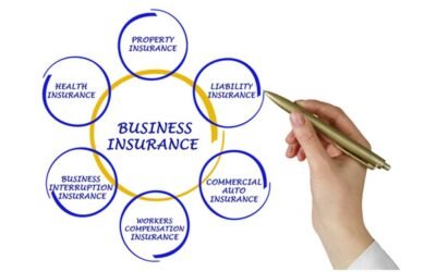 Essential Liability Insurance Considerations for Small Businesses