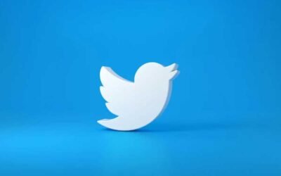 Cracking the Code Snagging Twitter Videos for Your Offline Pleasure