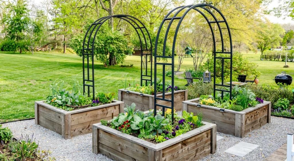 Garden Setup For Summer