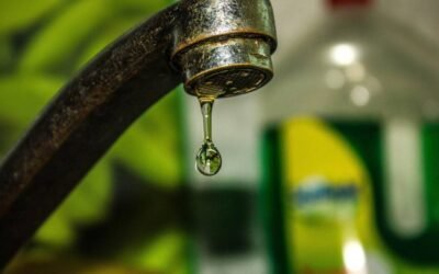 Water-Saving Plumbing Innovations for Sustainable Household Living