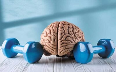 Training the Brain for Long Term Change