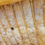 Types-of-Attic-Insulation-Compared