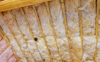 Types of Attic Insulation Compared