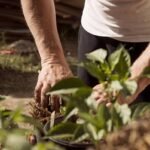 grass-seed-selection-made-simple-matching-varietie-1