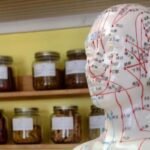 Acupuncture model and Chinese herbal medicine clinic.