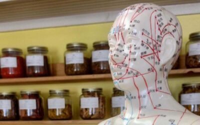 5 Chinese Herbal Formulas to Help Boost Your Day