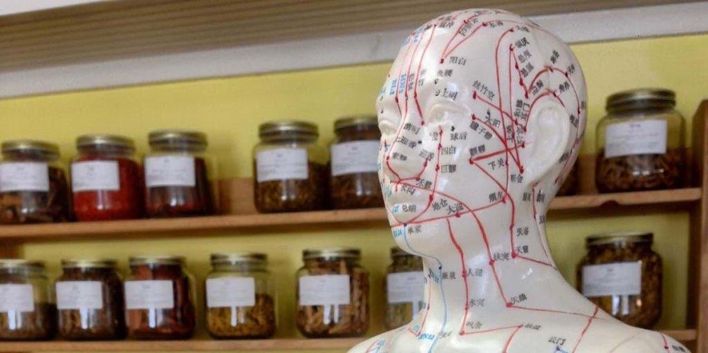 Acupuncture model and Chinese herbal medicine clinic.