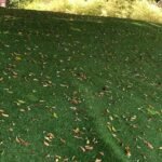 Artificial-Grass-Pros-and-Cons