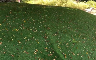 Artificial Grass Pros and Cons: When It Fits, When It Fails