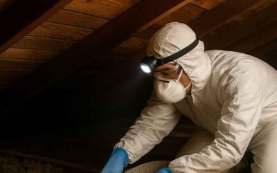 Attic Insulation Removal and Replacement: When to Strip