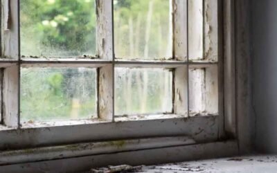 Energy-Efficient Windows in Older Homes: Repair or Replace