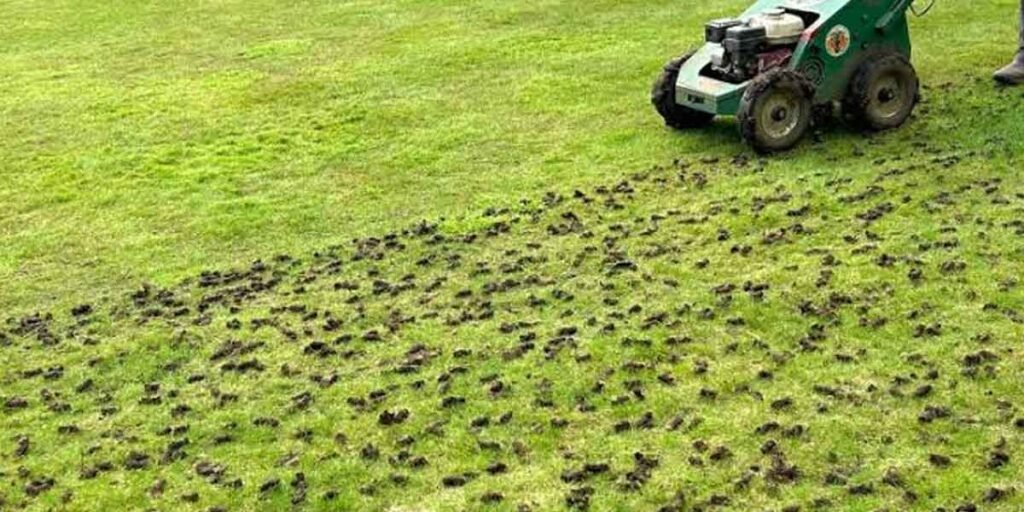 Lawn-Aeration-Benefits