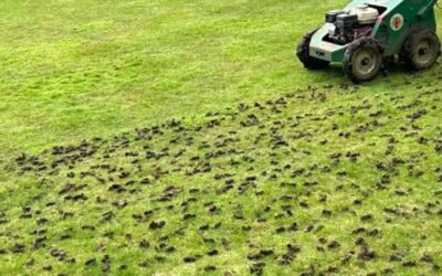 Lawn Aeration Benefits: What It Fixes and What It Misses