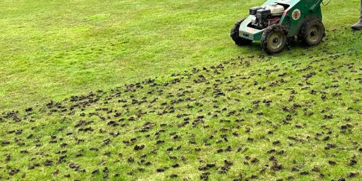 Lawn-Aeration-Benefits