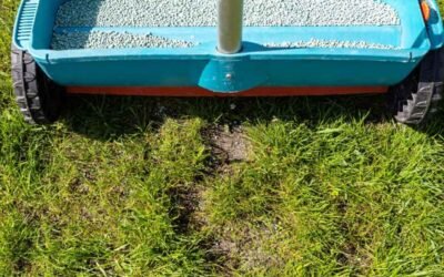 Lawn Care Fertilization, Step by Step: Prep to Checkpoints