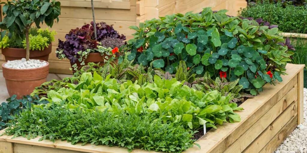 Low-Maintenance-Garden-Design