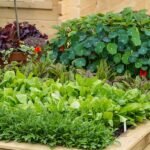 Low-Maintenance-Garden-Design