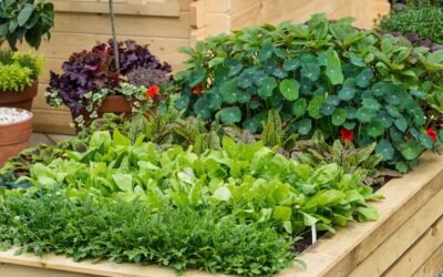Low Maintenance Garden Design: Plan the Upkeep First