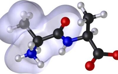Receptor Kinetics and Metabolic Homeostasis Dynamics in Synthetic Peptide Models