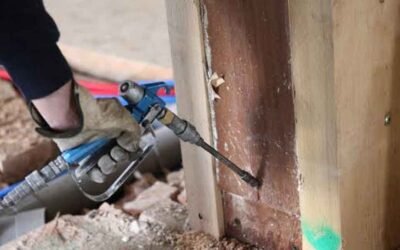 Termites Treatment Cost: What You Pay For, and When You Pay It