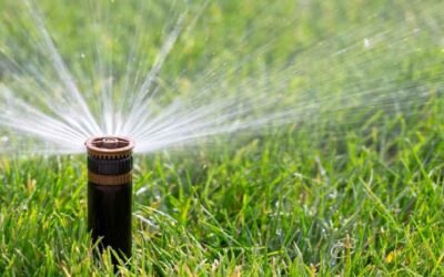 Types of Irrigation Systems, and Which One Fits Your Yard
