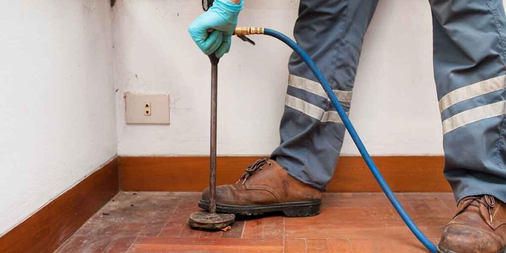 What-Termites-Cost-to-Remove