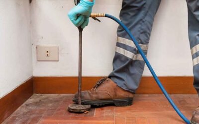What Termites Cost to Remove: Reading the Estimate