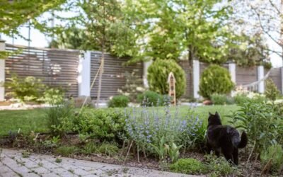 Creating a Seamless Flow Between the Kitchen and the Garden