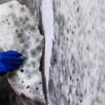 Lead Paint Testing Cost