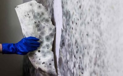 Lead Paint Testing Cost: What Actually Drives the Bill